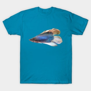 Majestic Blue Betta Fish T-Shirt